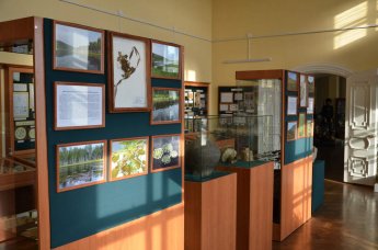 ВОДЯНОЙ ОРЕХ И ОСТРОЛОДОЧНИК КОМАРОВА В НЕРЧИНСКОМ МУЗЕЕ
